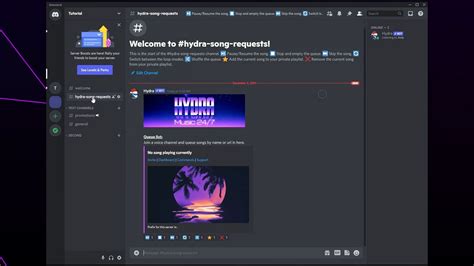 hydra discord|More.